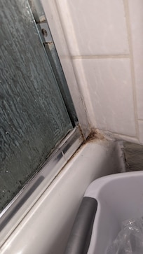 Mold in bathroom
