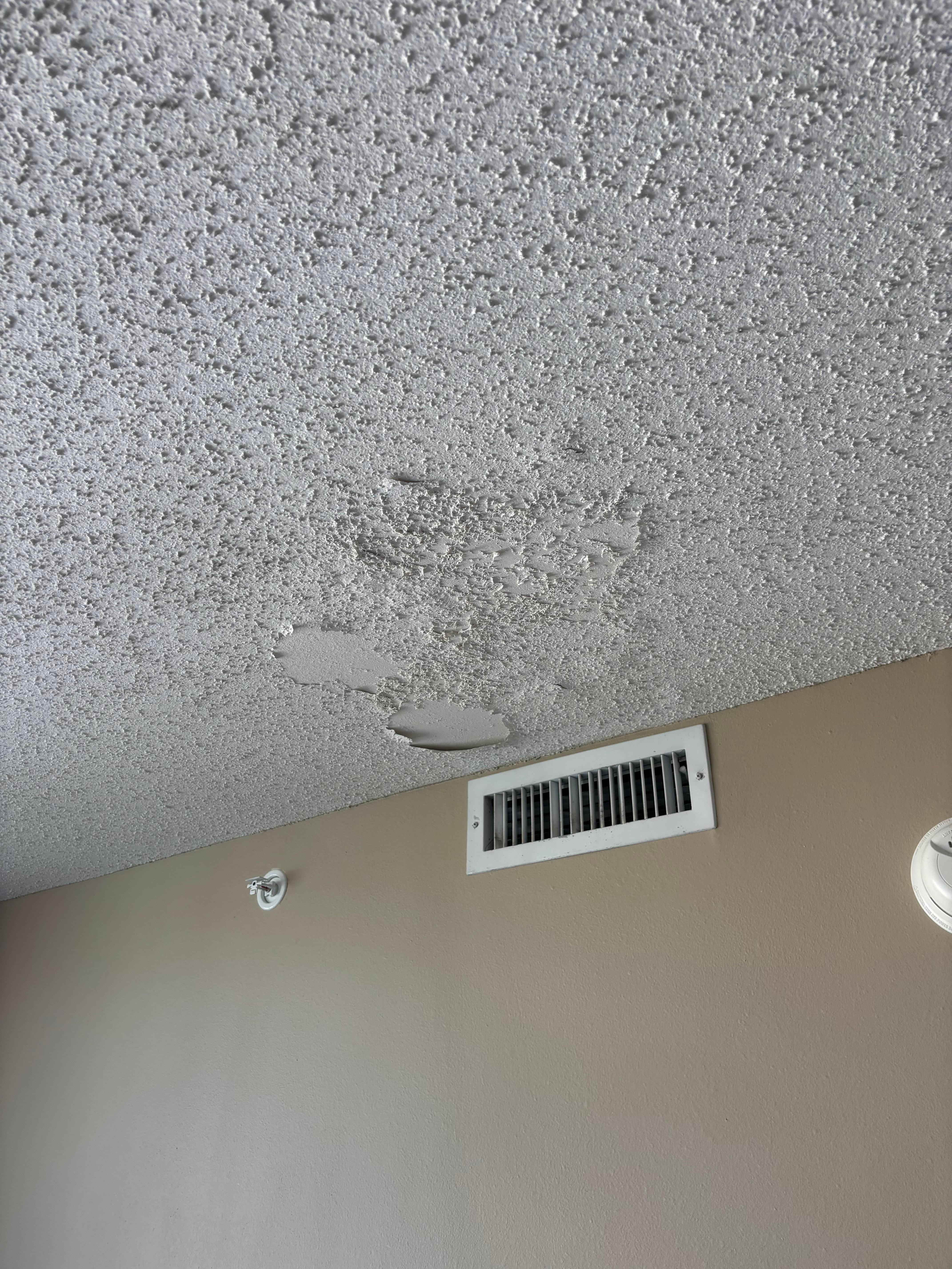 Part of the ceiling that was on ground when we first checked in. 