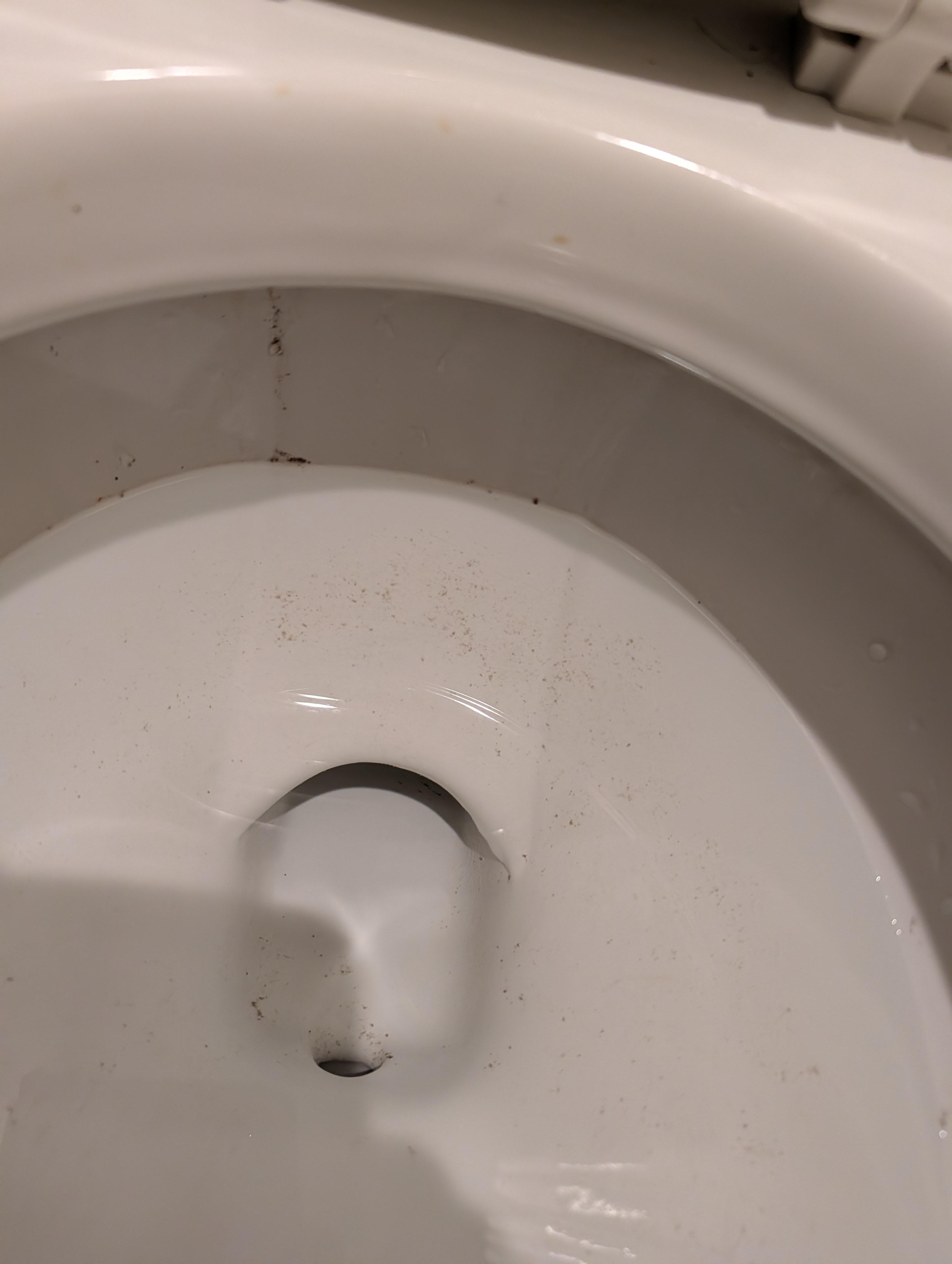 Dirty ring in toilet bowl