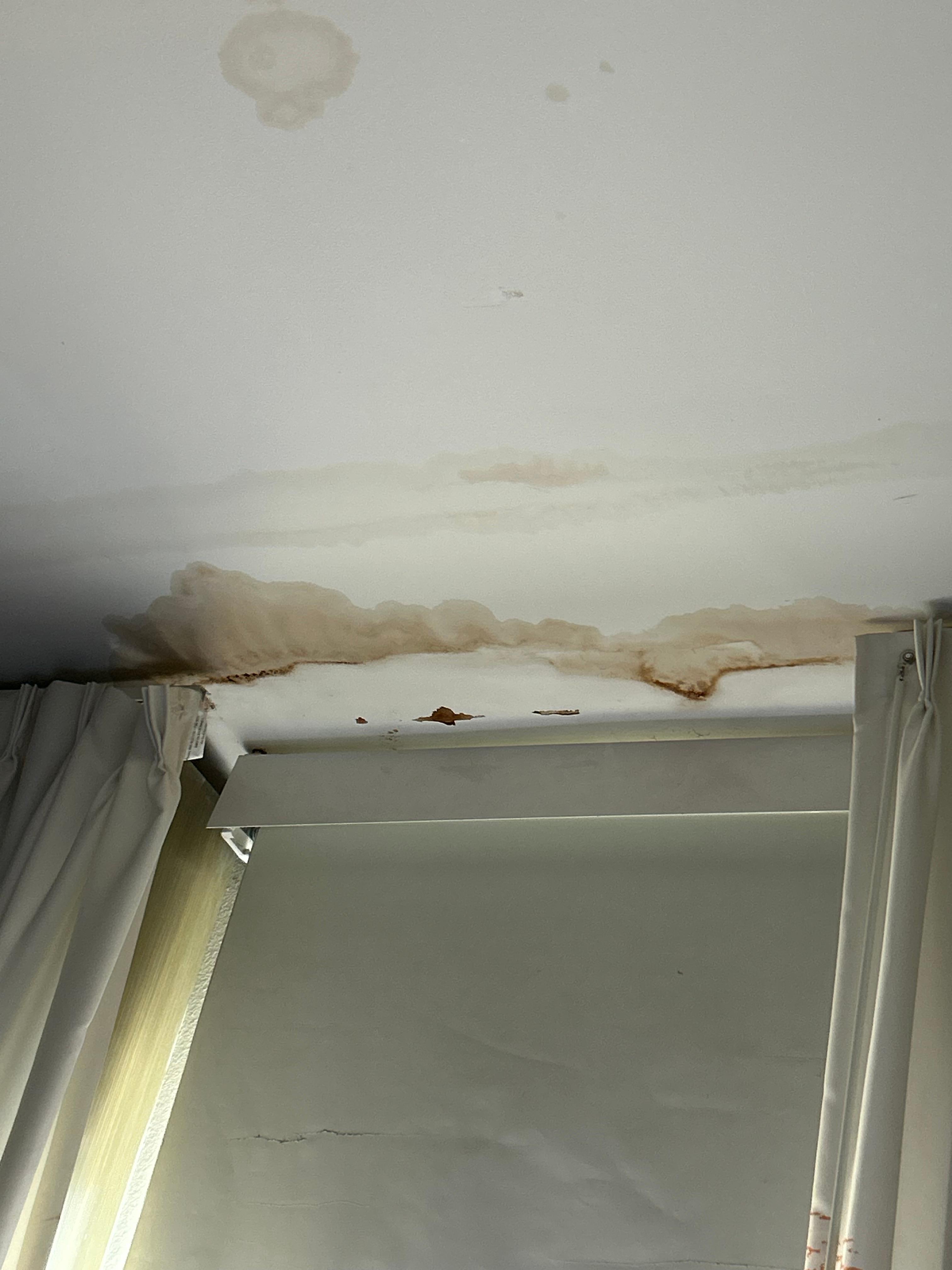 Mold 