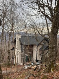 Cabin view from a walking trail above the home. Perfect for walking the dog