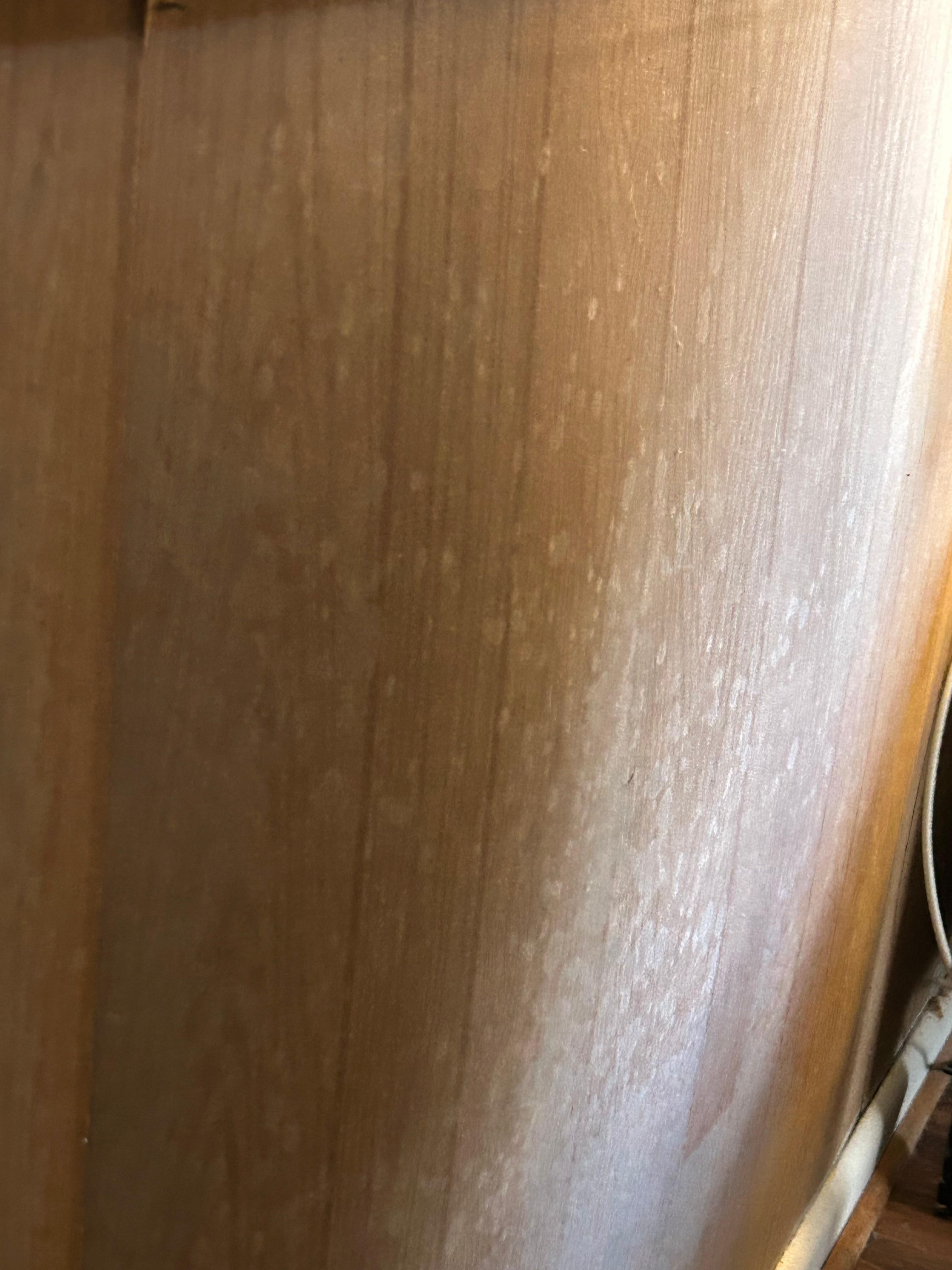Mold on paneling walls