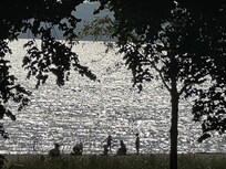 Blick vom Balkon