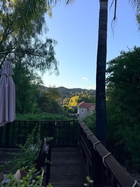 View from the back deck