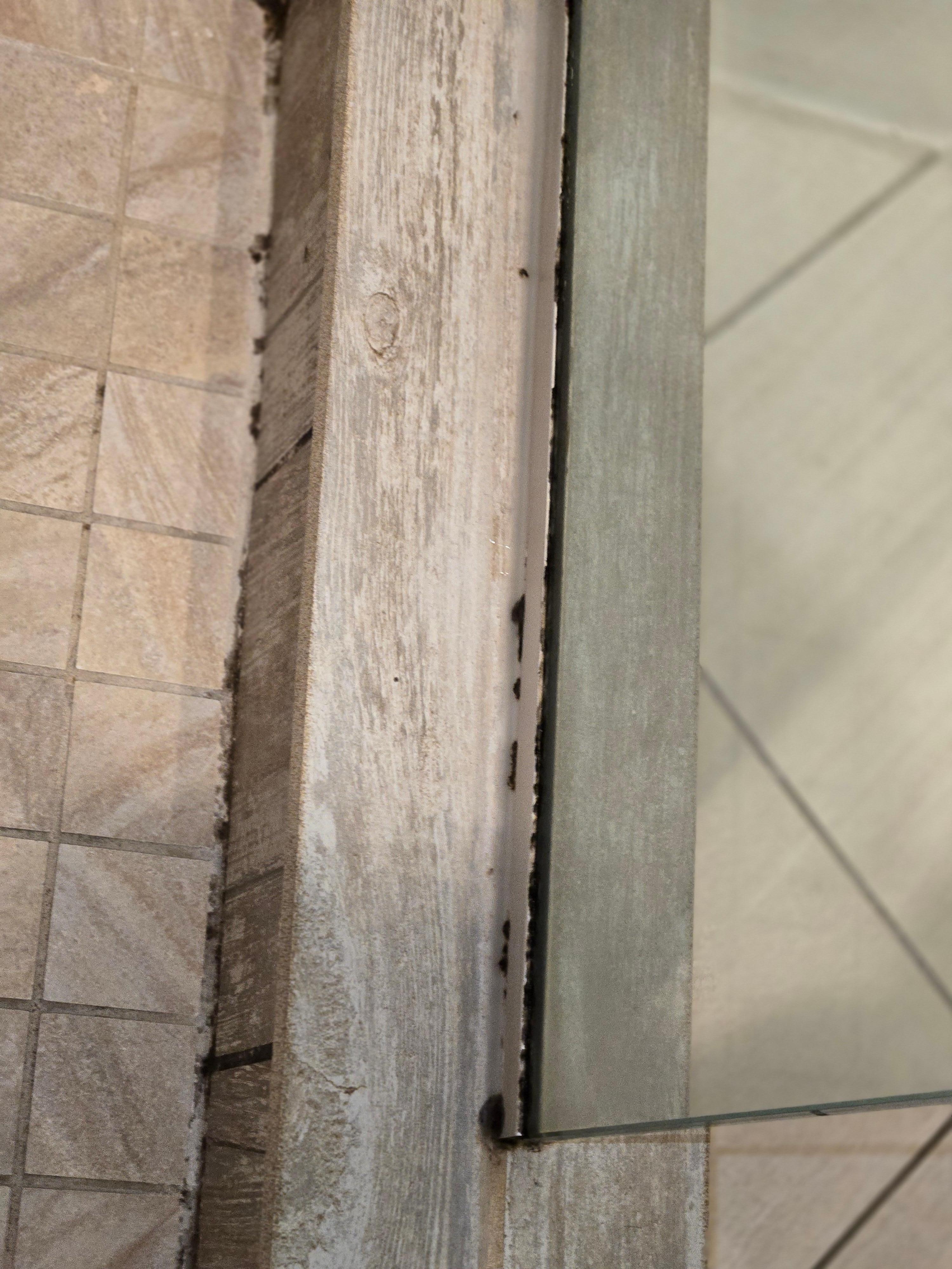 Suite shower mold along glass door and floor tile...