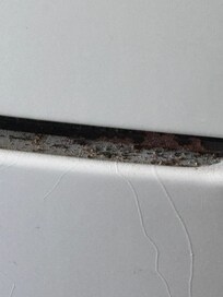 Droppings in the stove