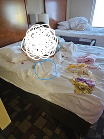 My kids on the bed and u see the bed bug crawling