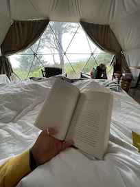 Wonderful to read in bed.