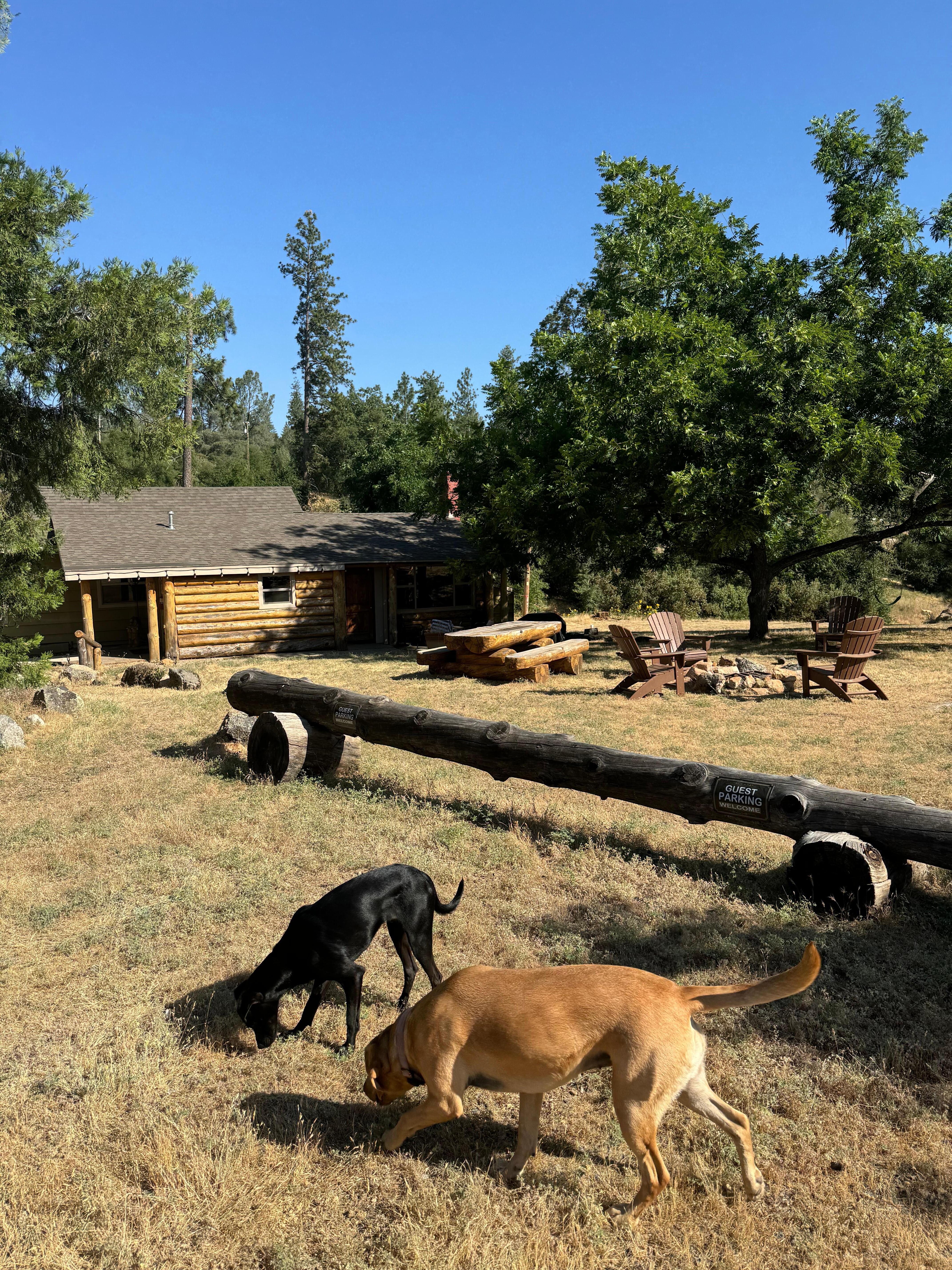 The cabin