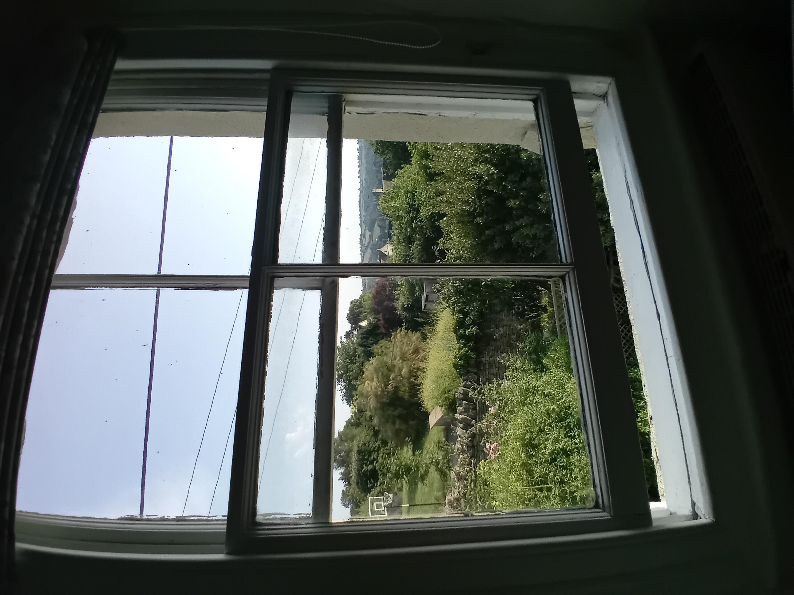 View from the other Livingroom window.