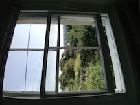 View from the other Livingroom window.