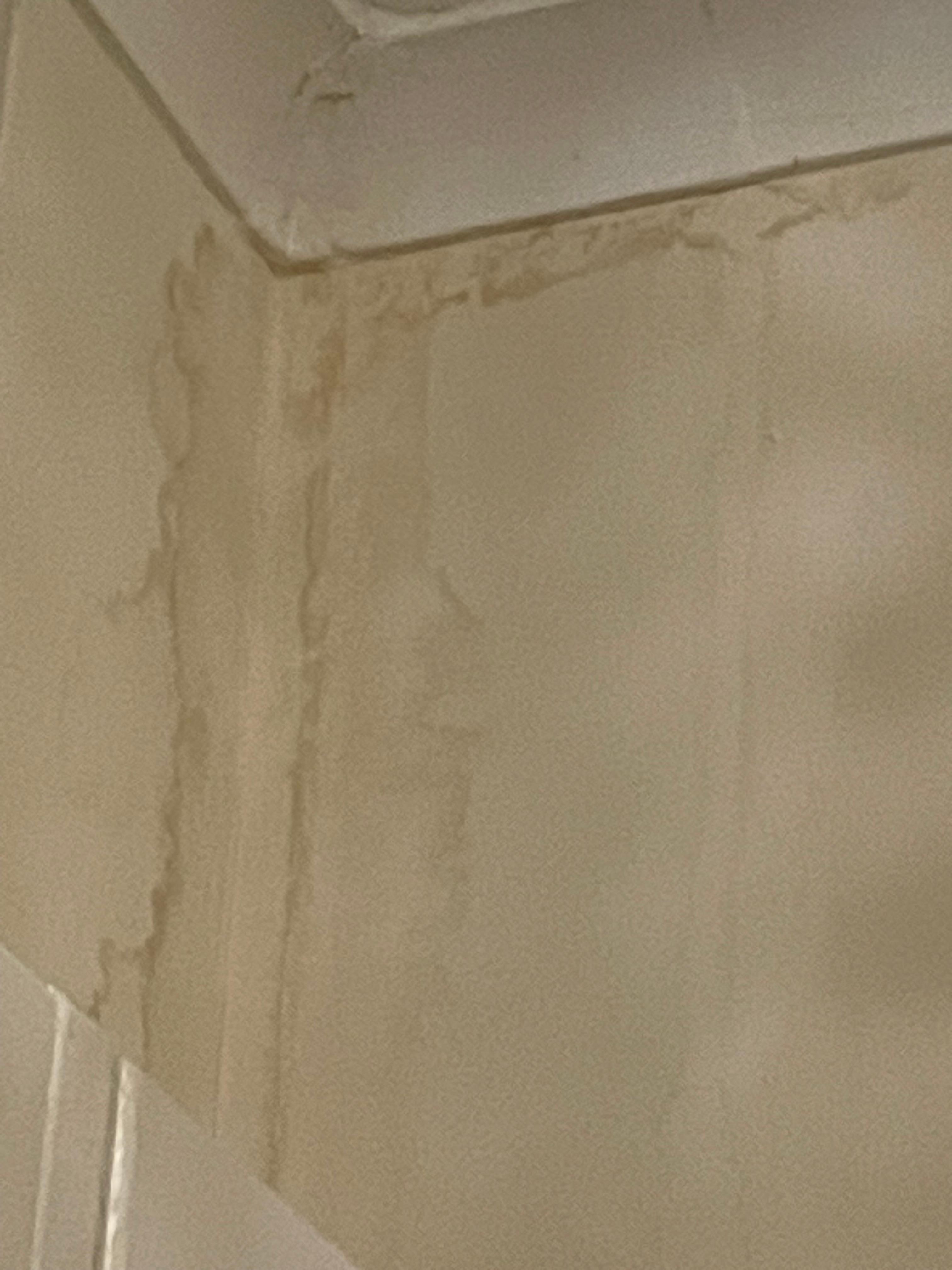 Stains on wall