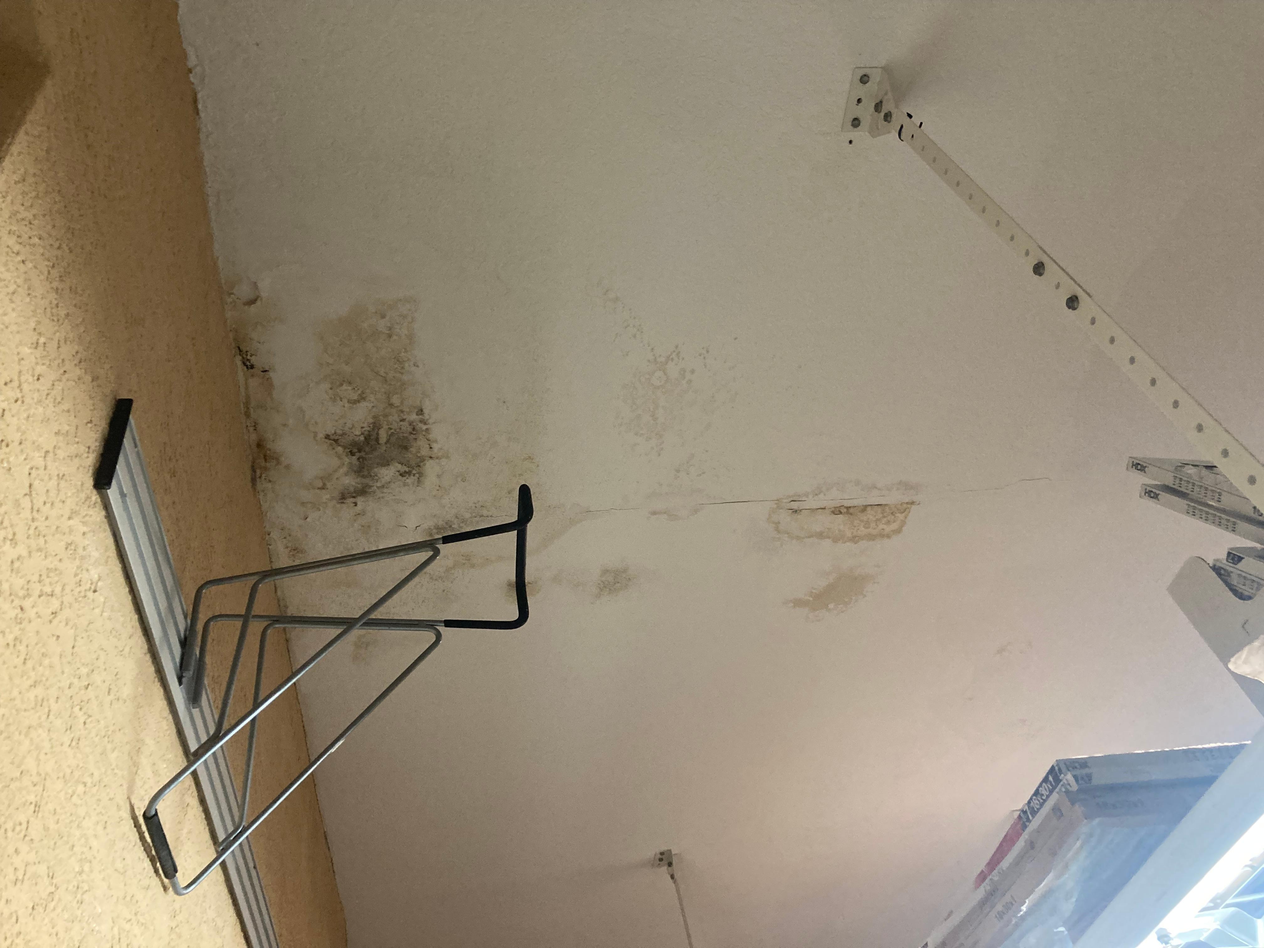 Owner concealed evidence of black mold where the game room was located. Grandchildren could not enjoy all the amenities.