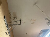 Owner concealed evidence of black mold where the game room was located. Grandchildren could not enjoy all the amenities.