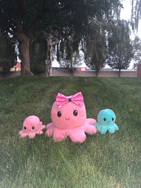 Cute 🥰 octopus 🐙 plushie pets in grass