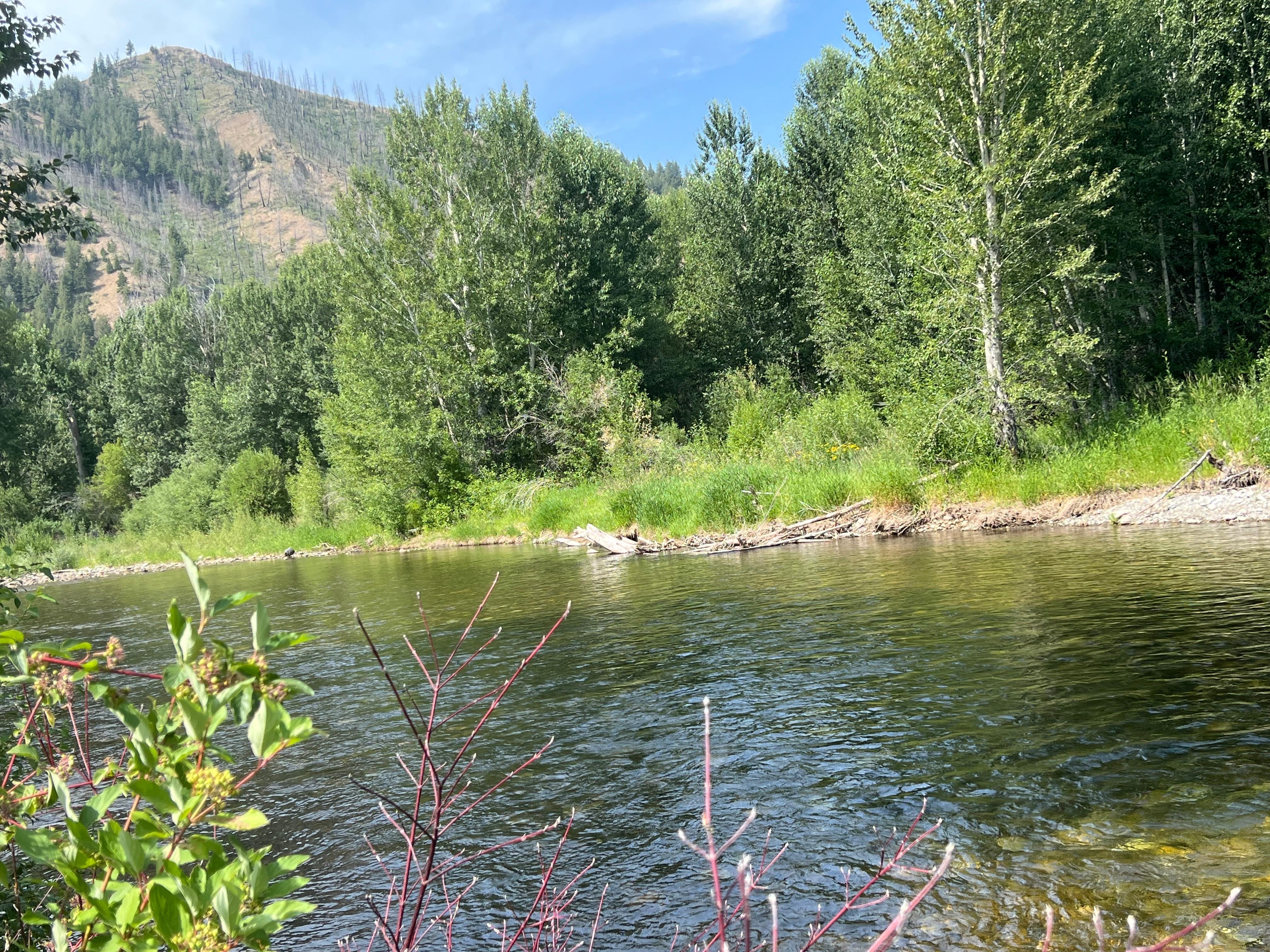  A river really does run through it