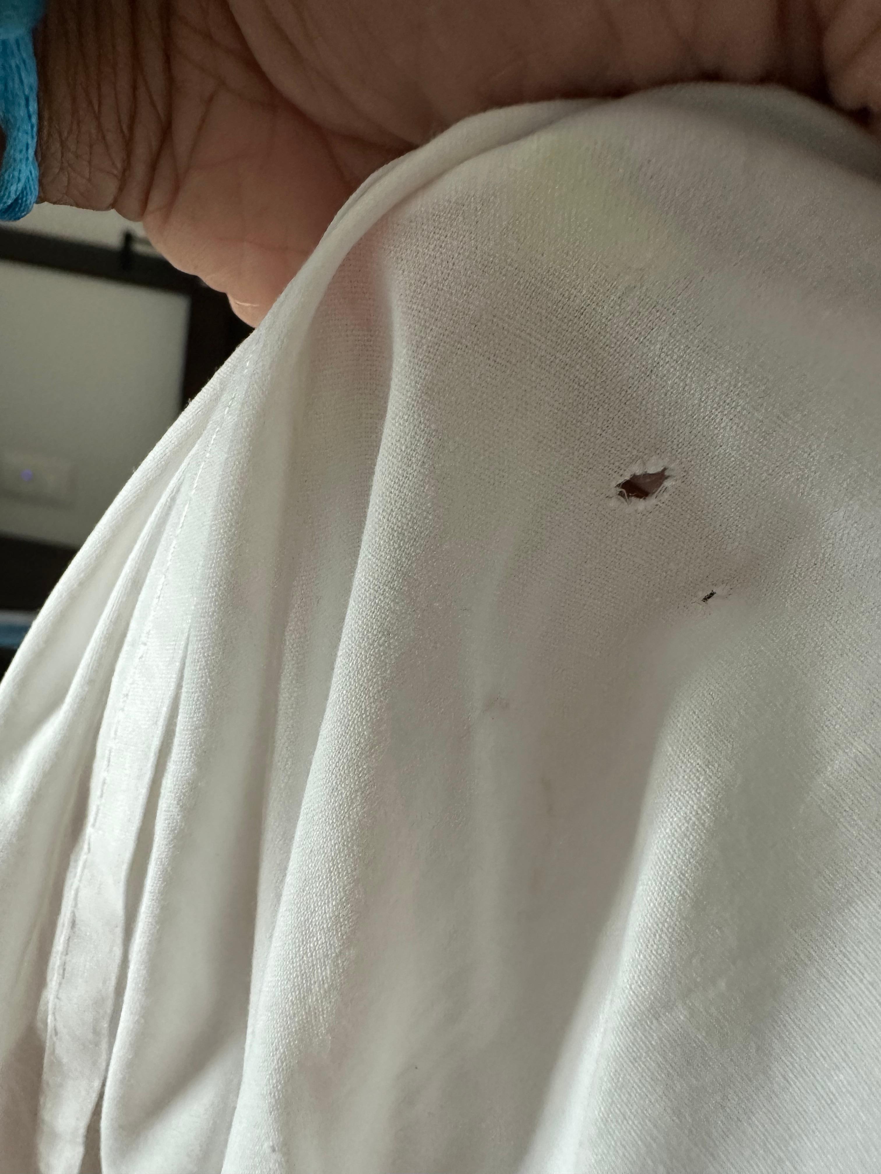 Red stains on sheets possibly blood. Staff did not take matter seriously. Did not look into this matter when reported. 