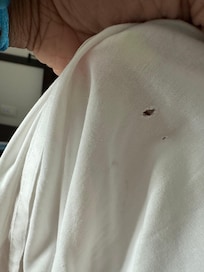 Red stains on sheets possibly blood. Staff did not take matter seriously. Did not look into this matter when reported.