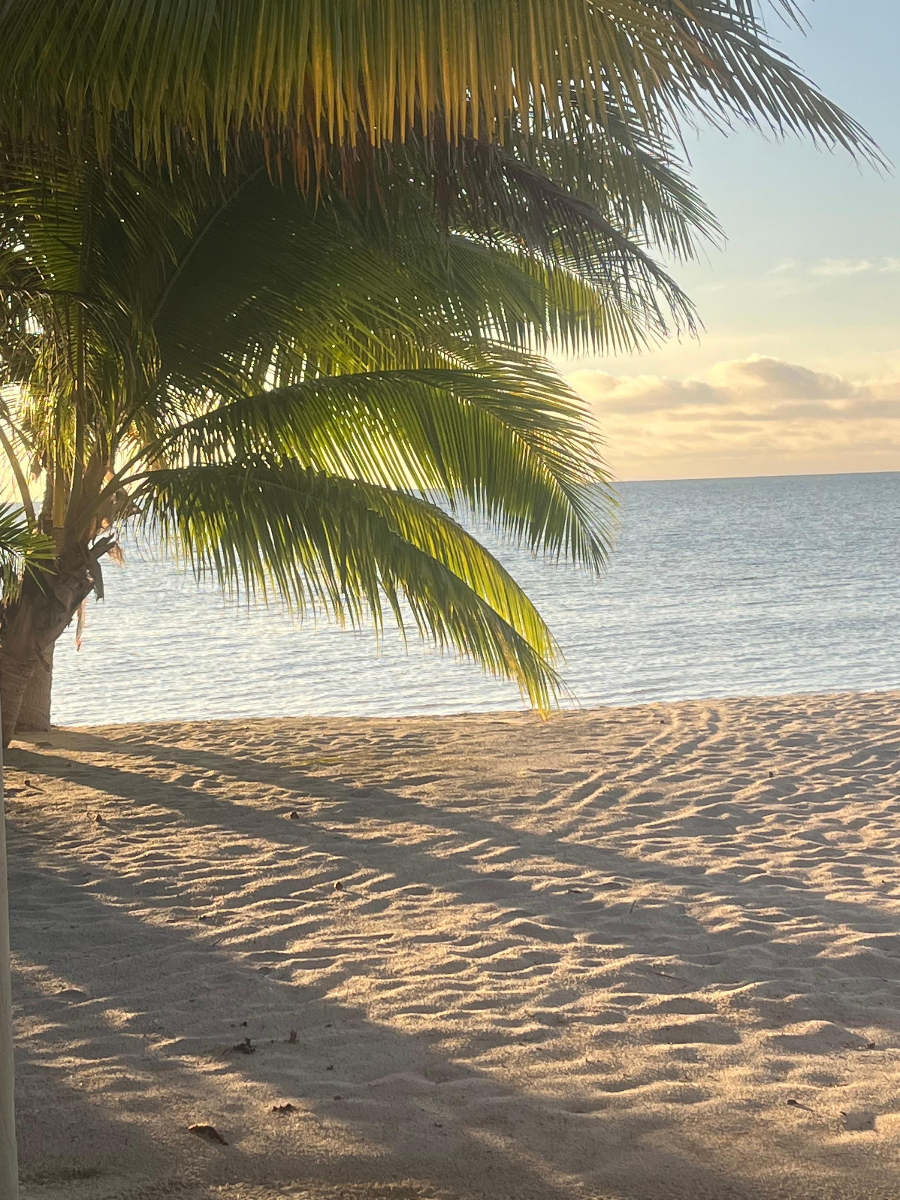 View from downstairs bedroom