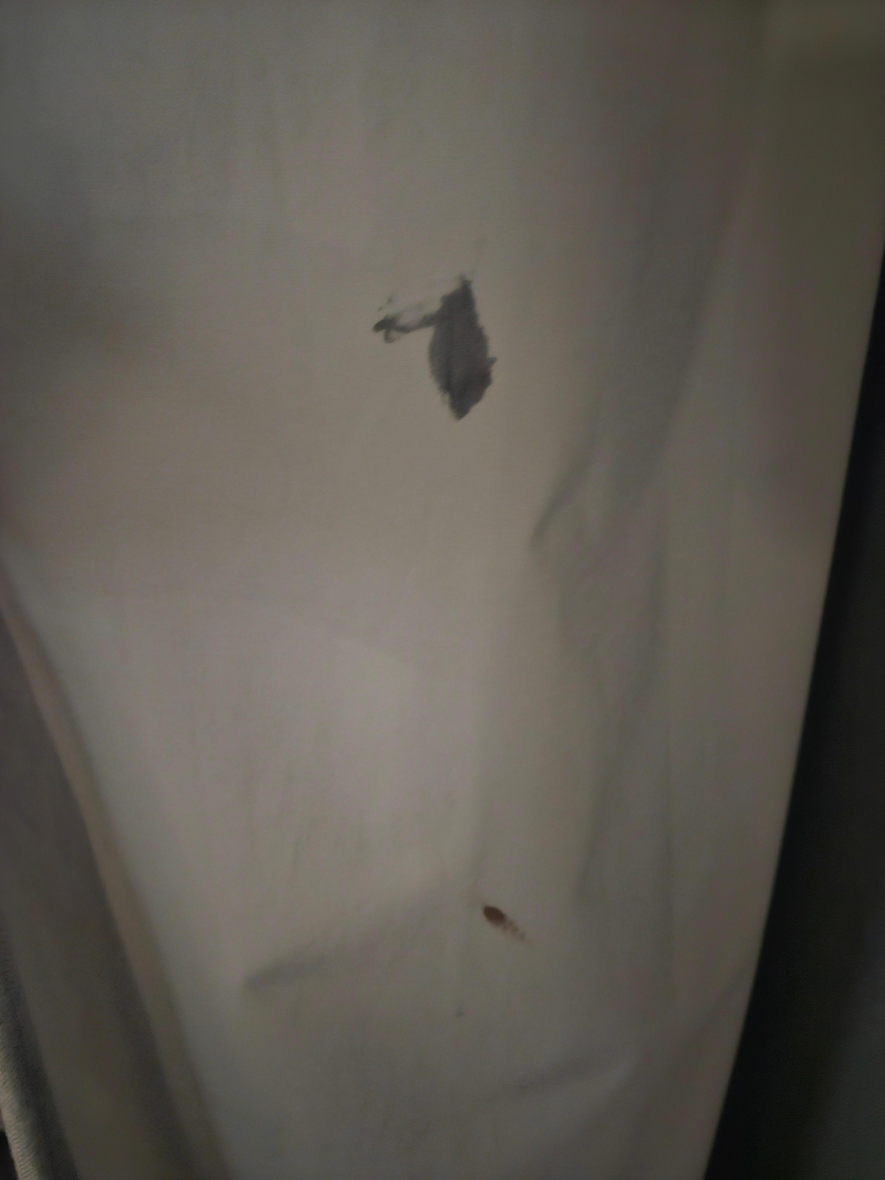 Blood stains on sheets