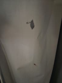 Blood stains on sheets