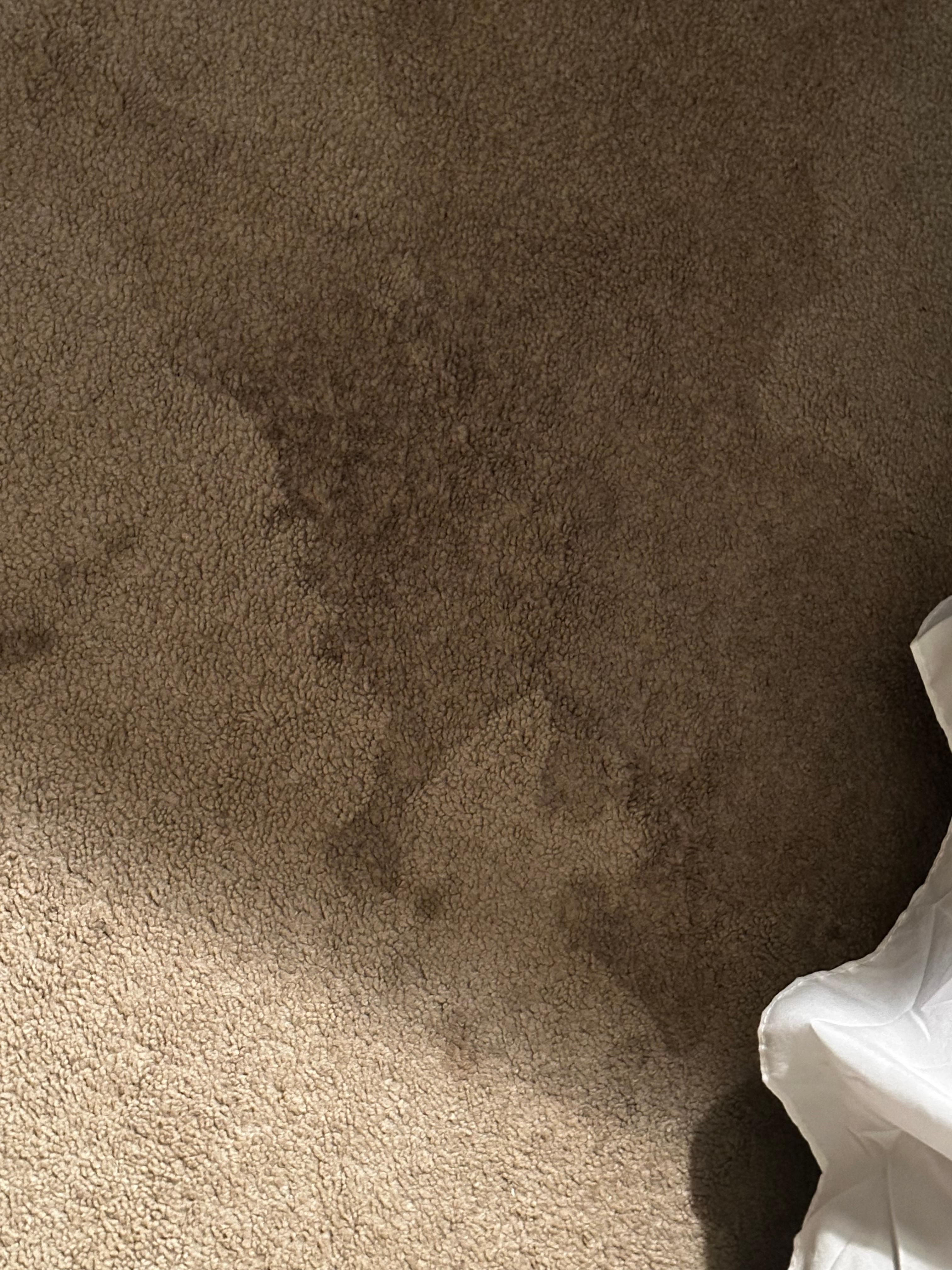 Stained bedroom carpet 