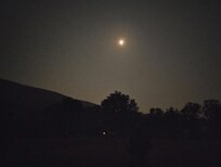 Full moon fever