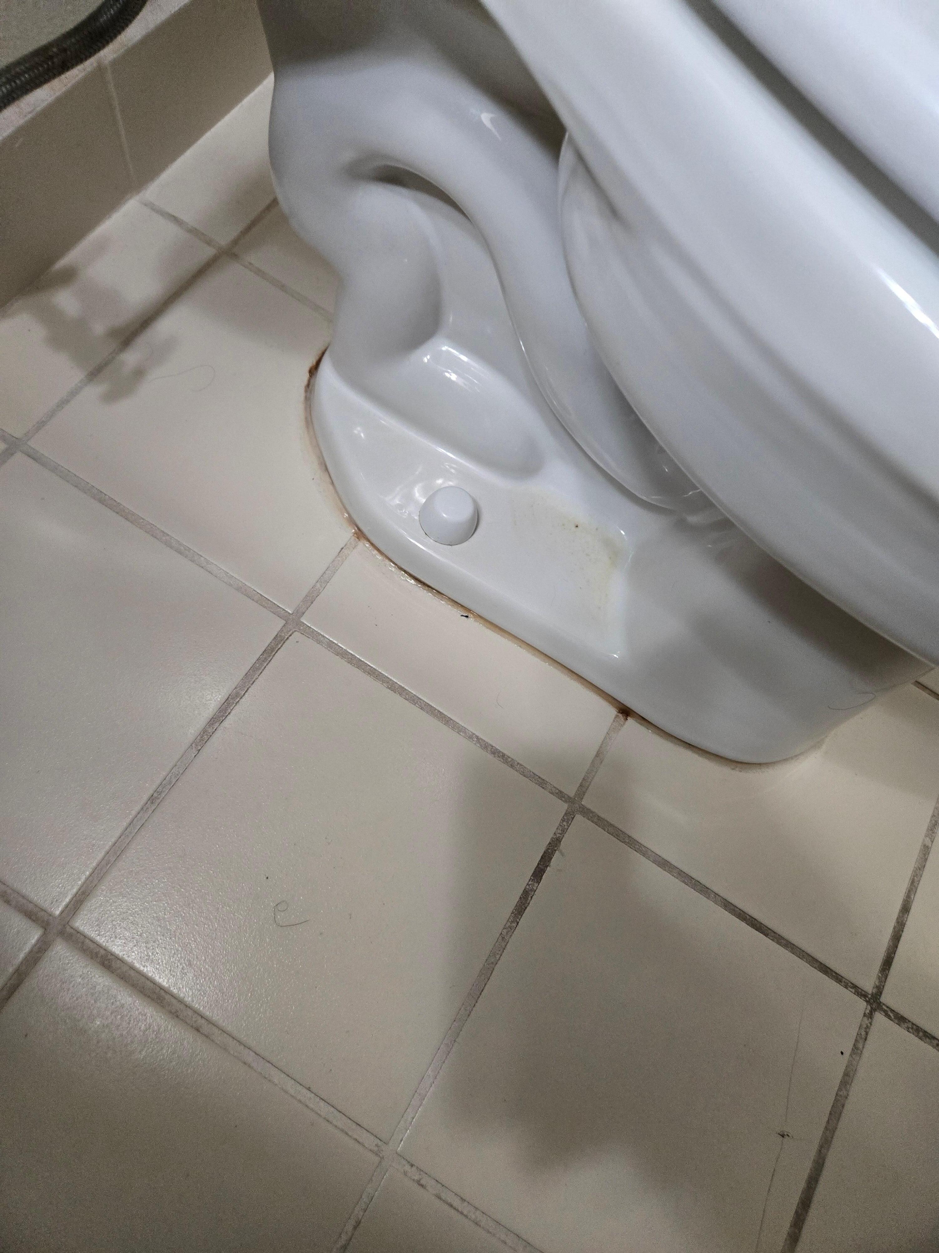 There was urine on the floor and the sides of the toilet