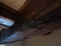Drip from ceiling