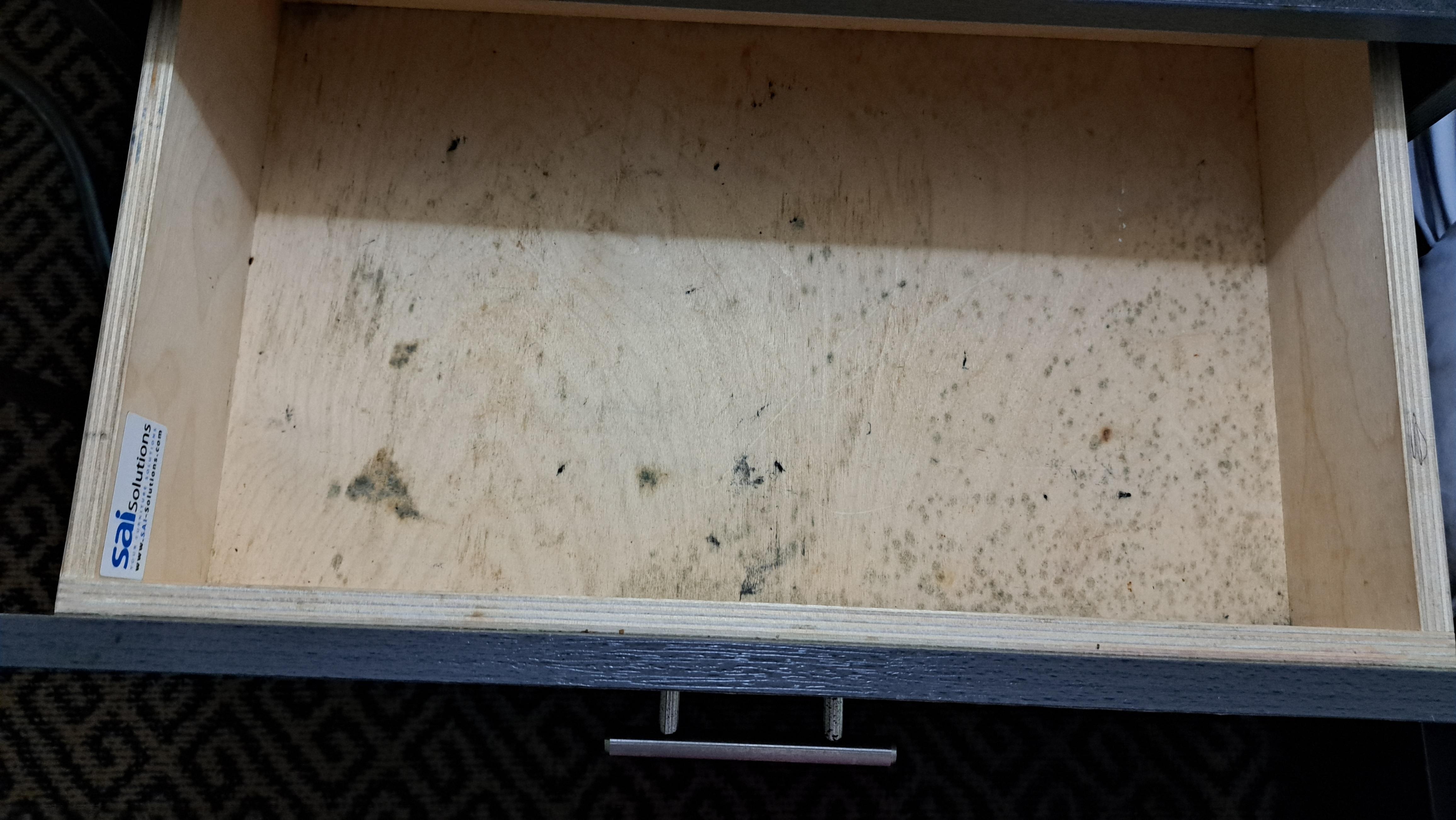 Mold or mildew in drawer 