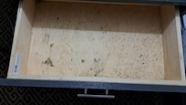Mold or mildew in drawer