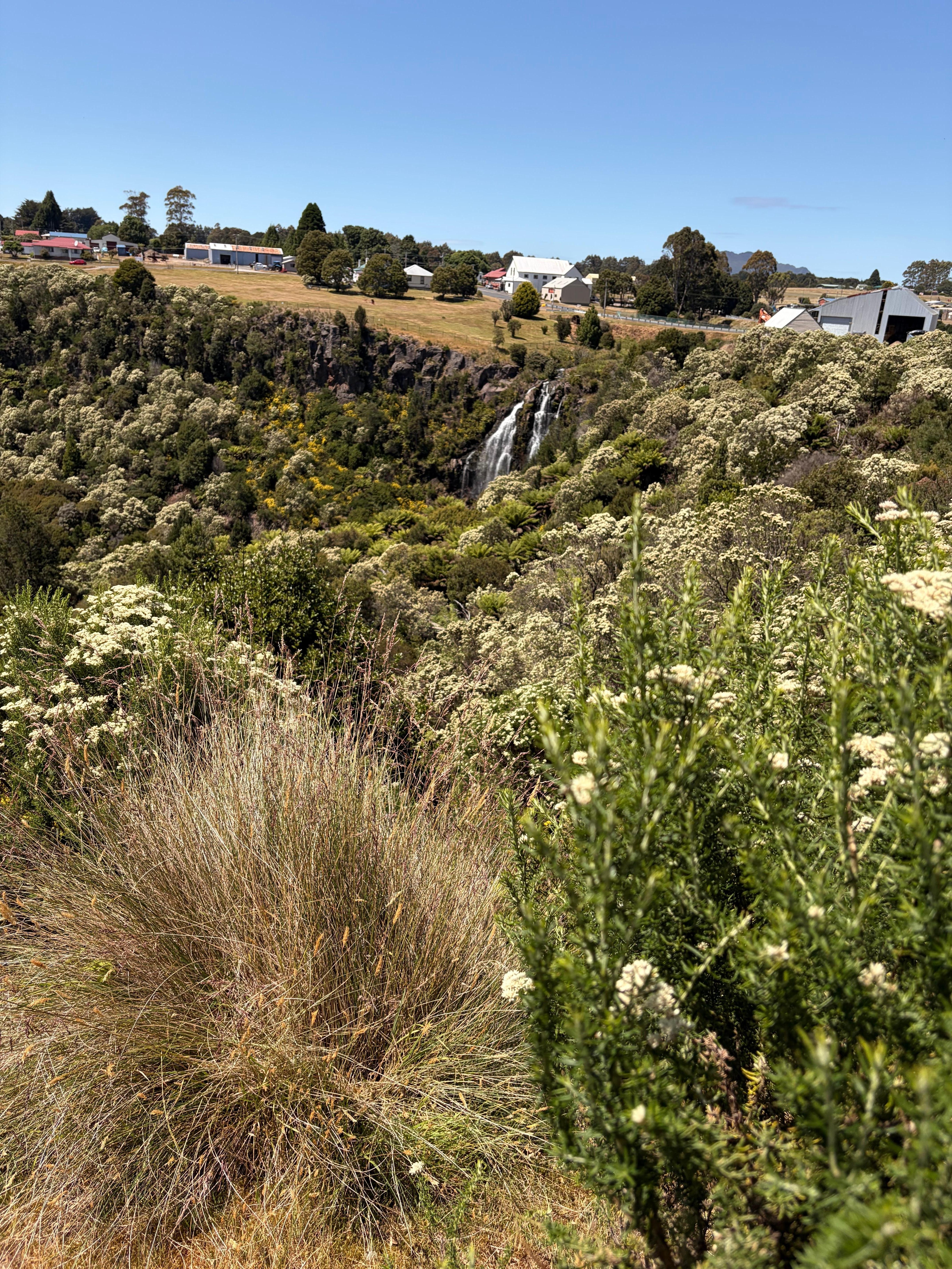 Waratah falls lookout right next to hotel.