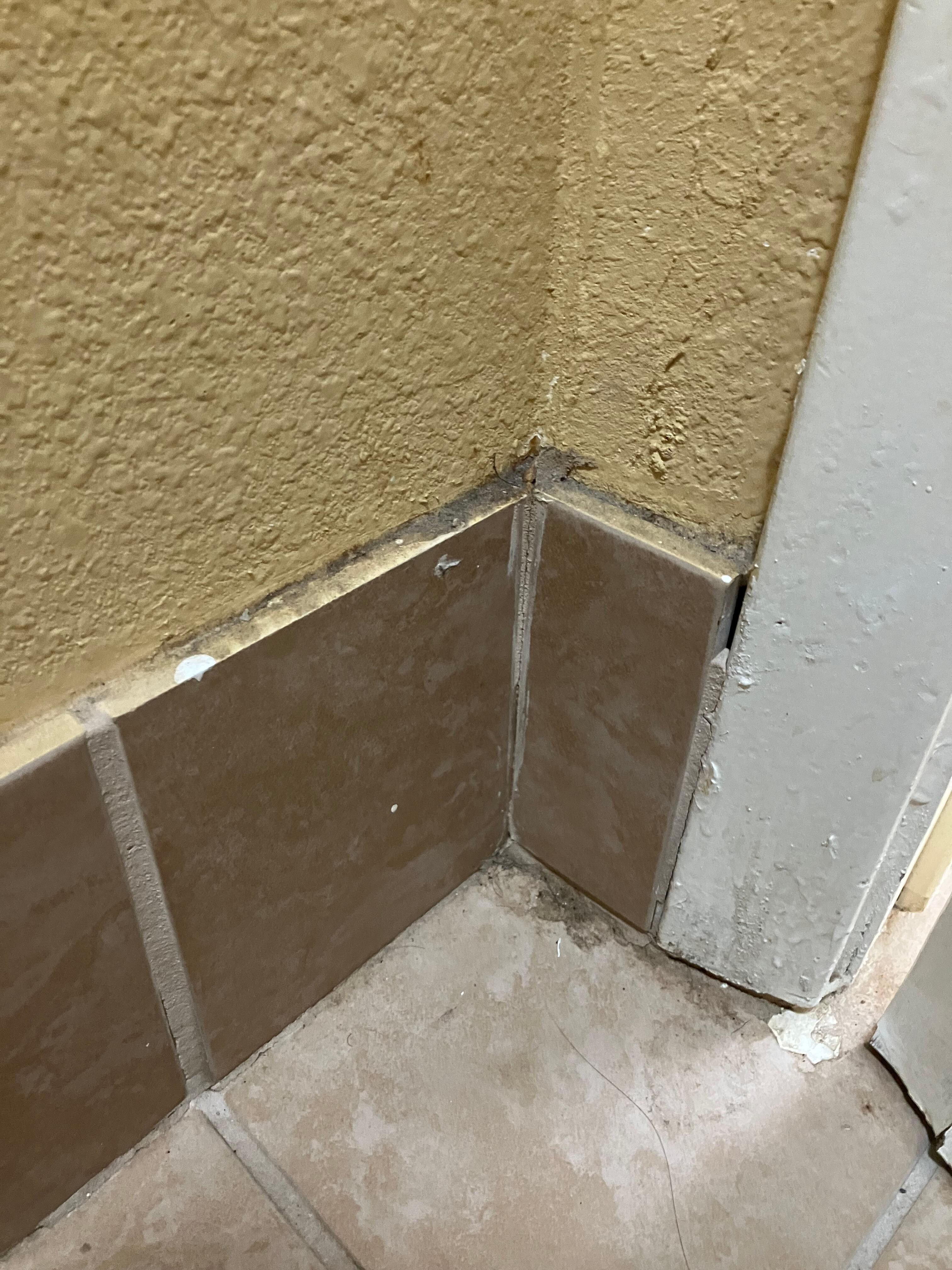 Bathroom floor