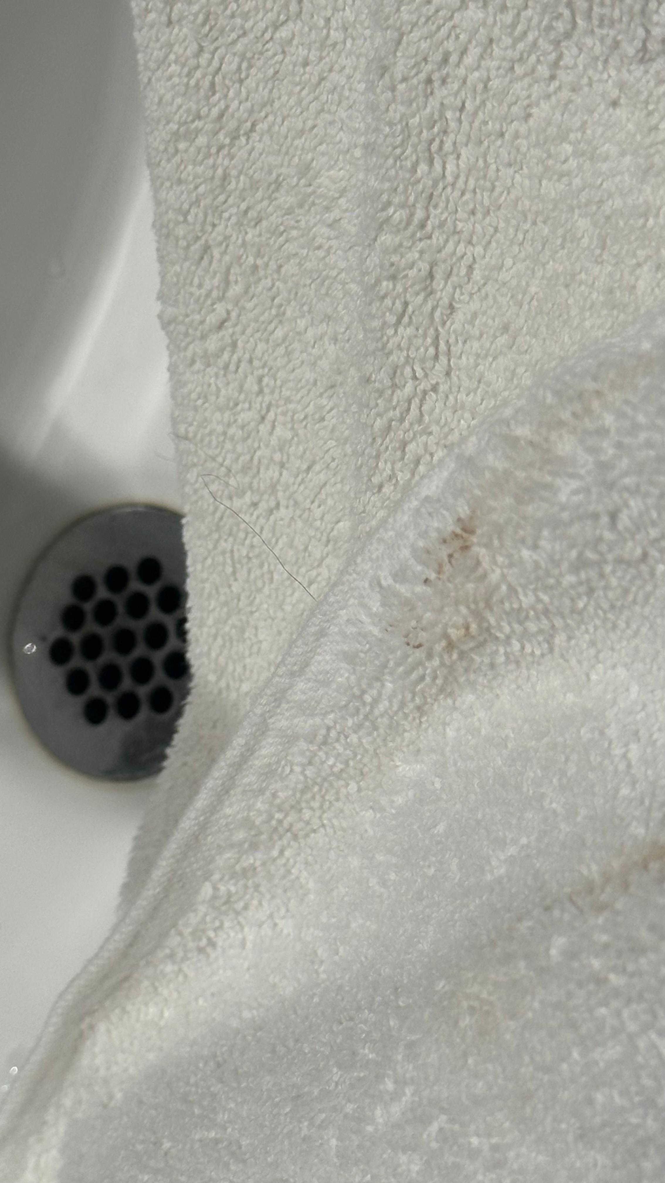 “Clean towel” that where folded and place neatly on the towel rack.