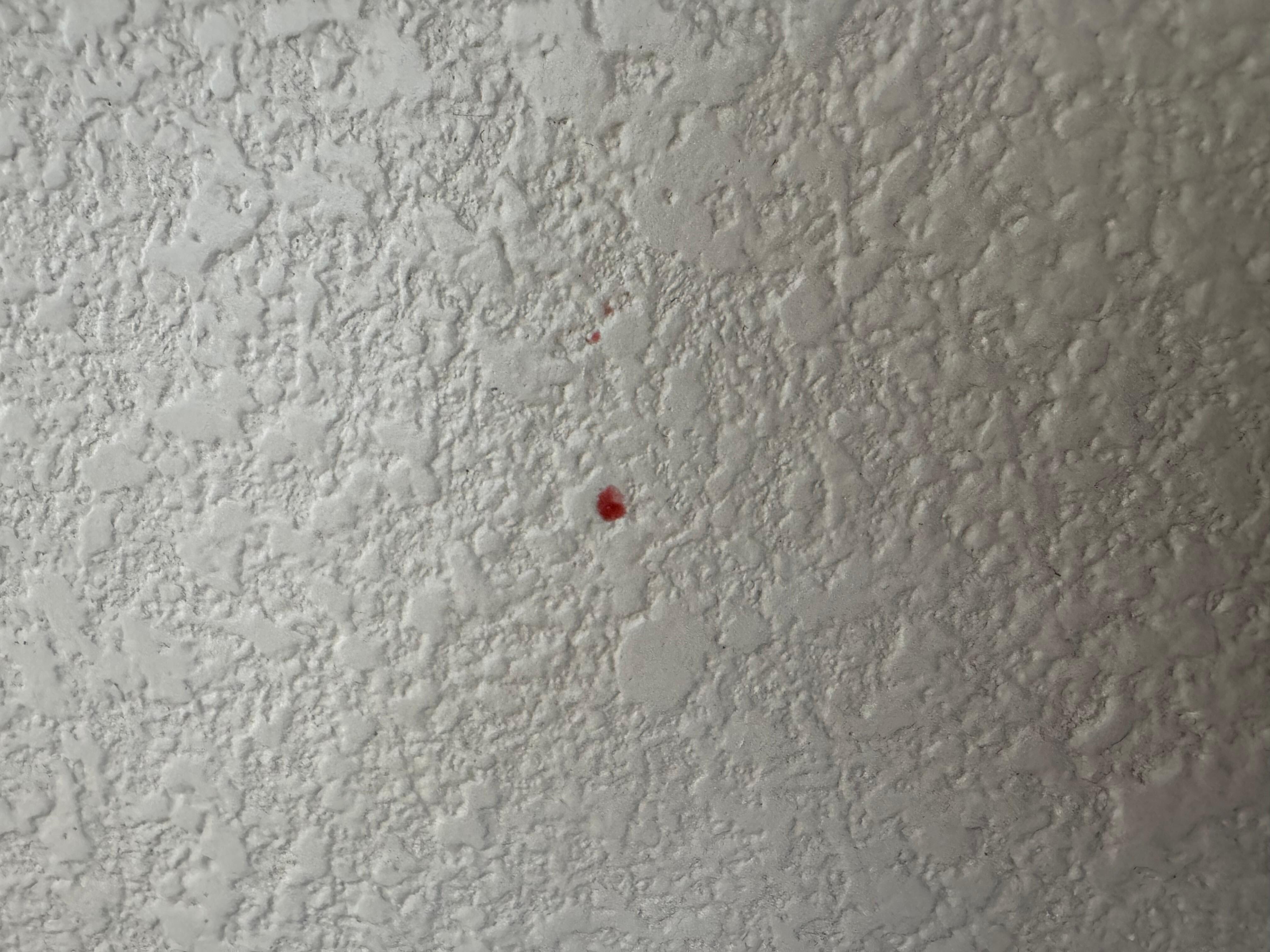 One of many blood spots on the way next to chair 