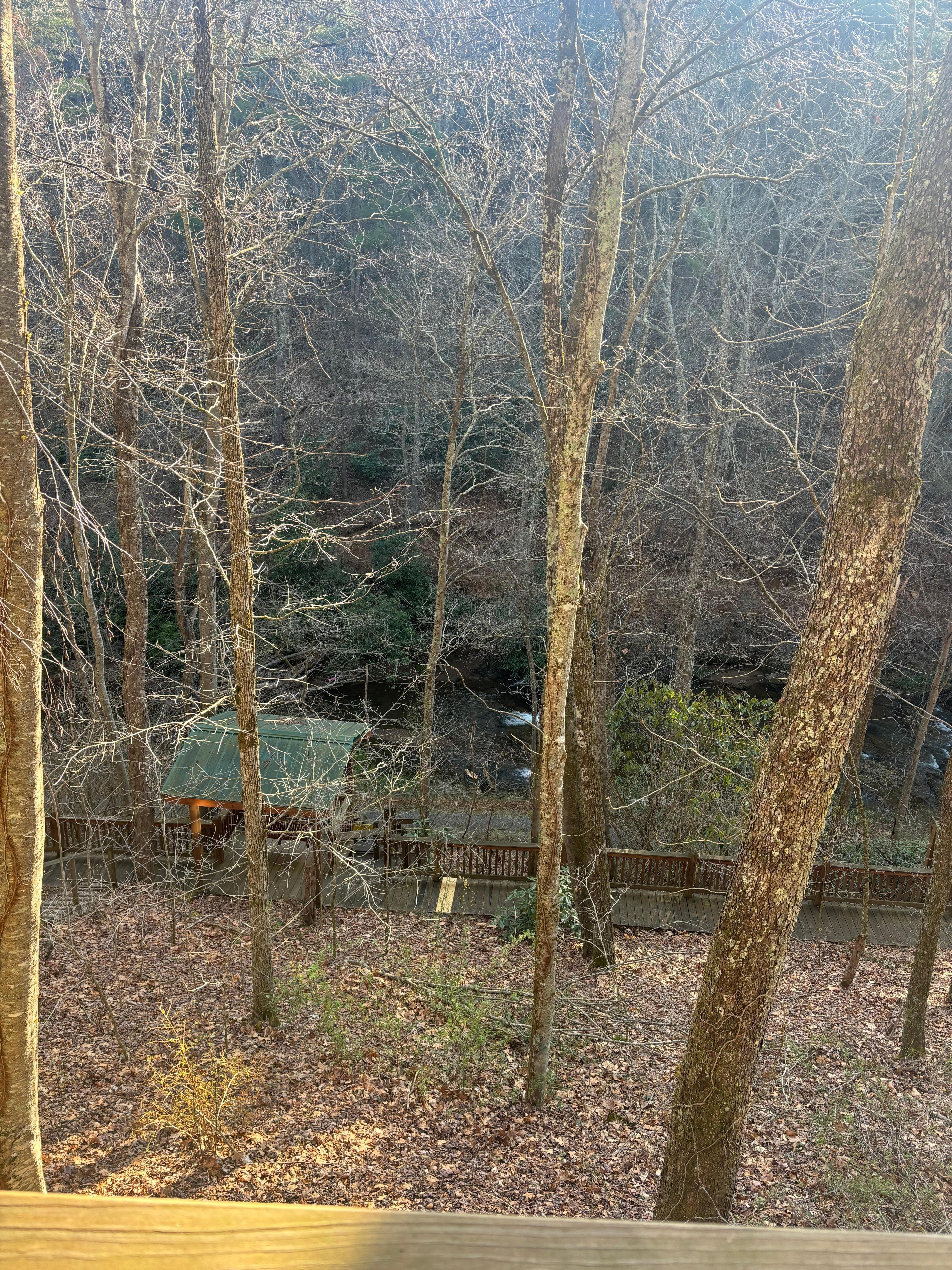 View from back patio. 