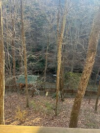View from back patio.