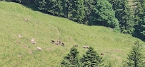 Rigi hike