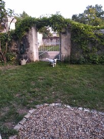 Notre petit Chouchou dans le terrain^^