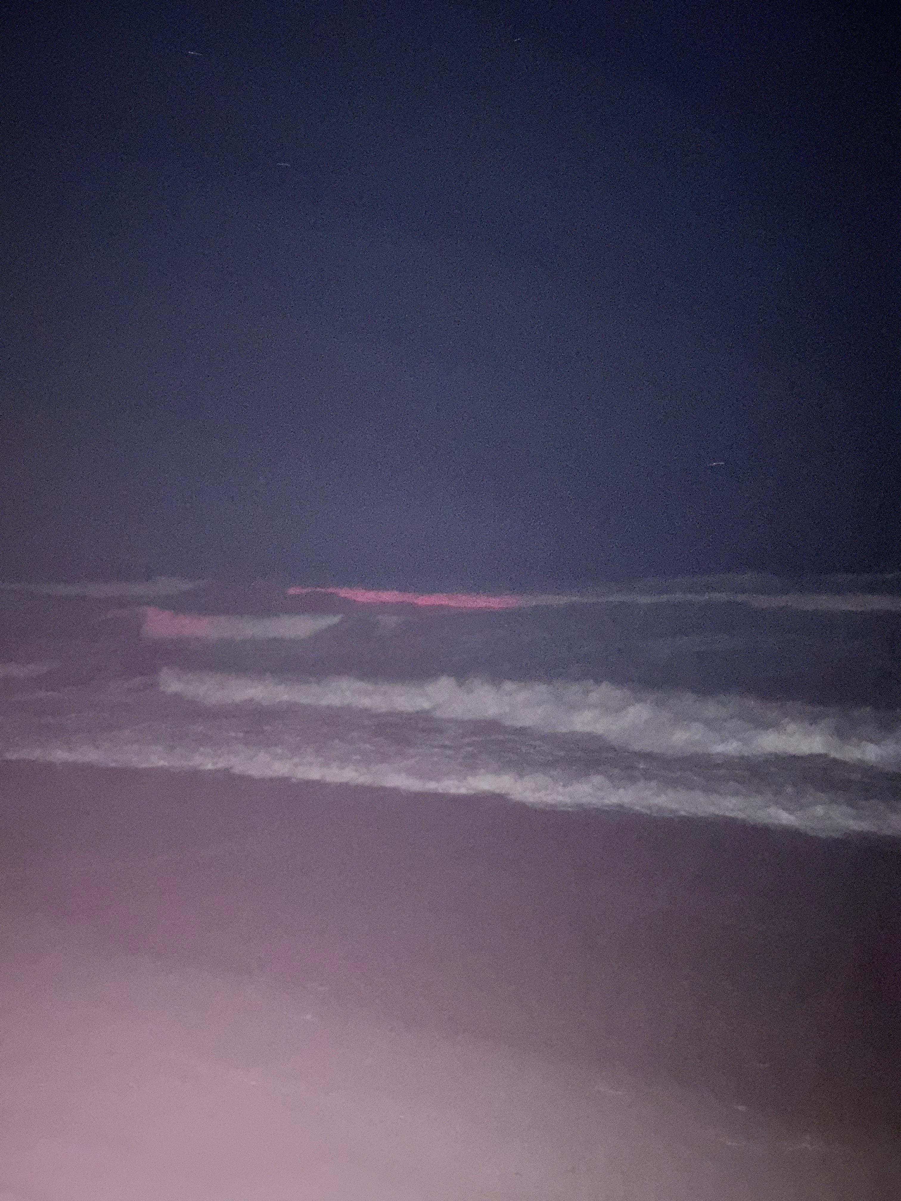 View at night of the red algae 