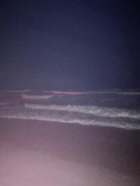 View at night of the red algae