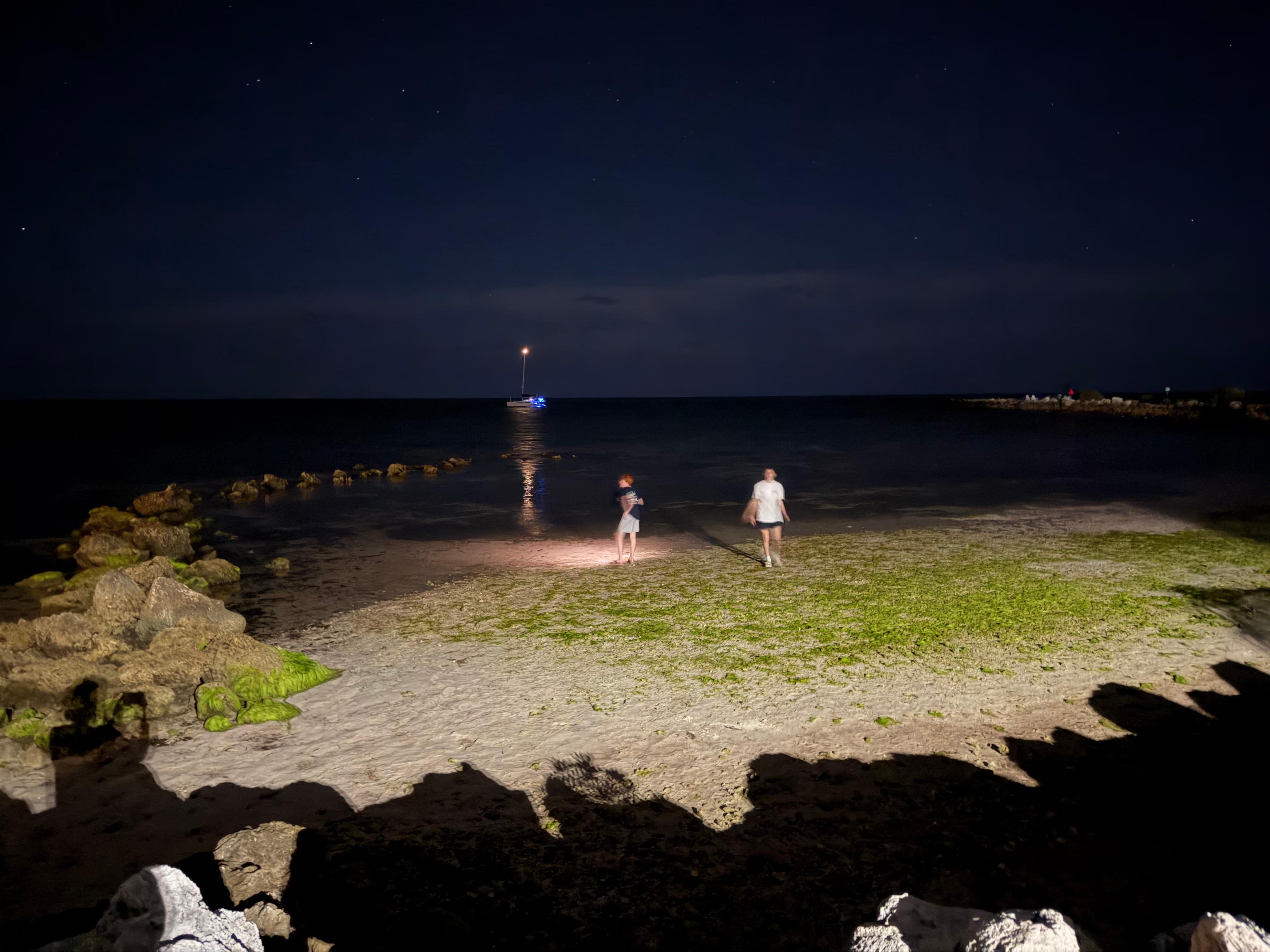 Low tide looking for critters