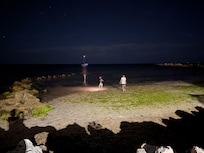 Low tide looking for critters