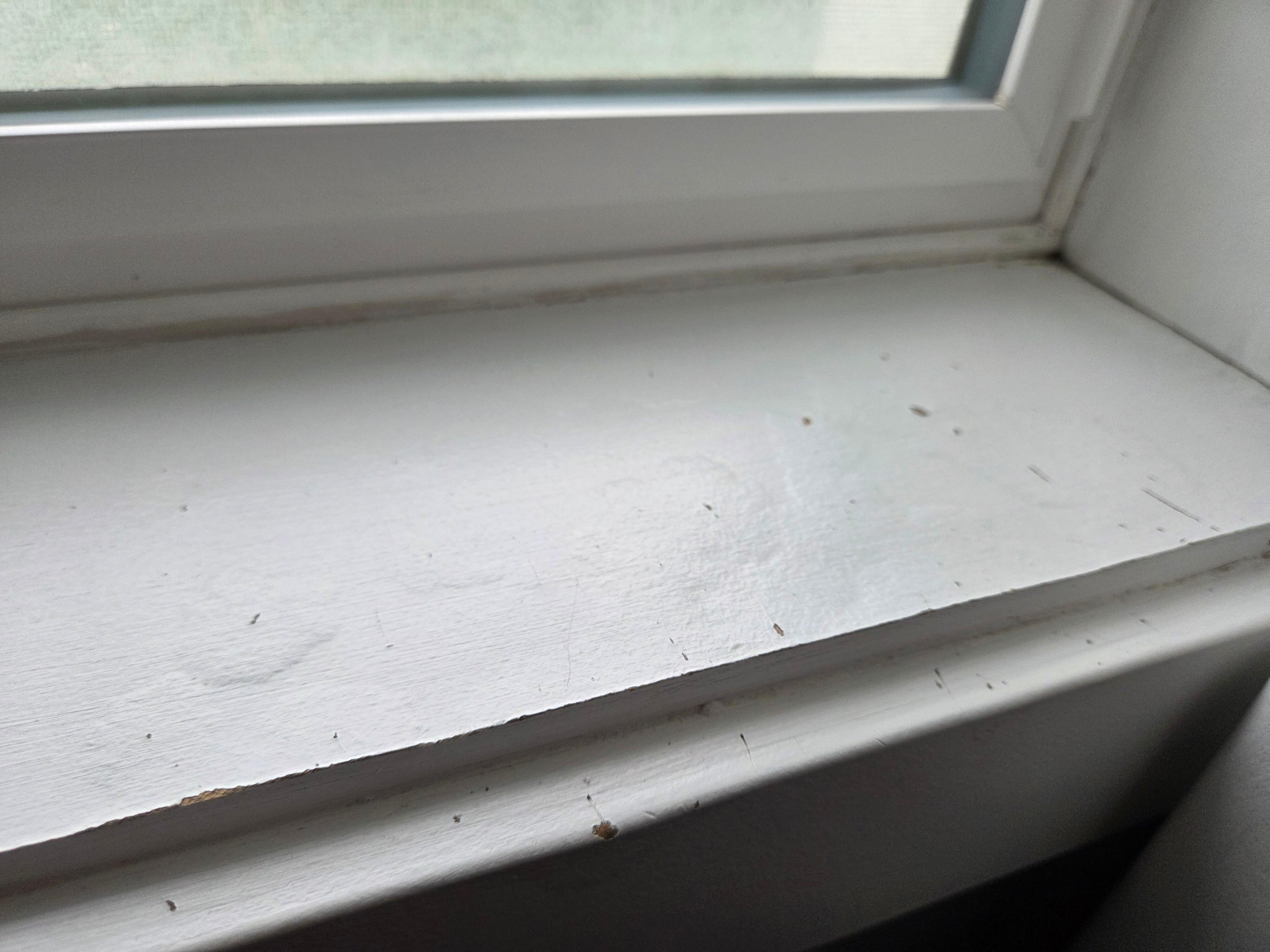 Water damage to window sill, likely from having to open the window because the HVAC doesn't work 