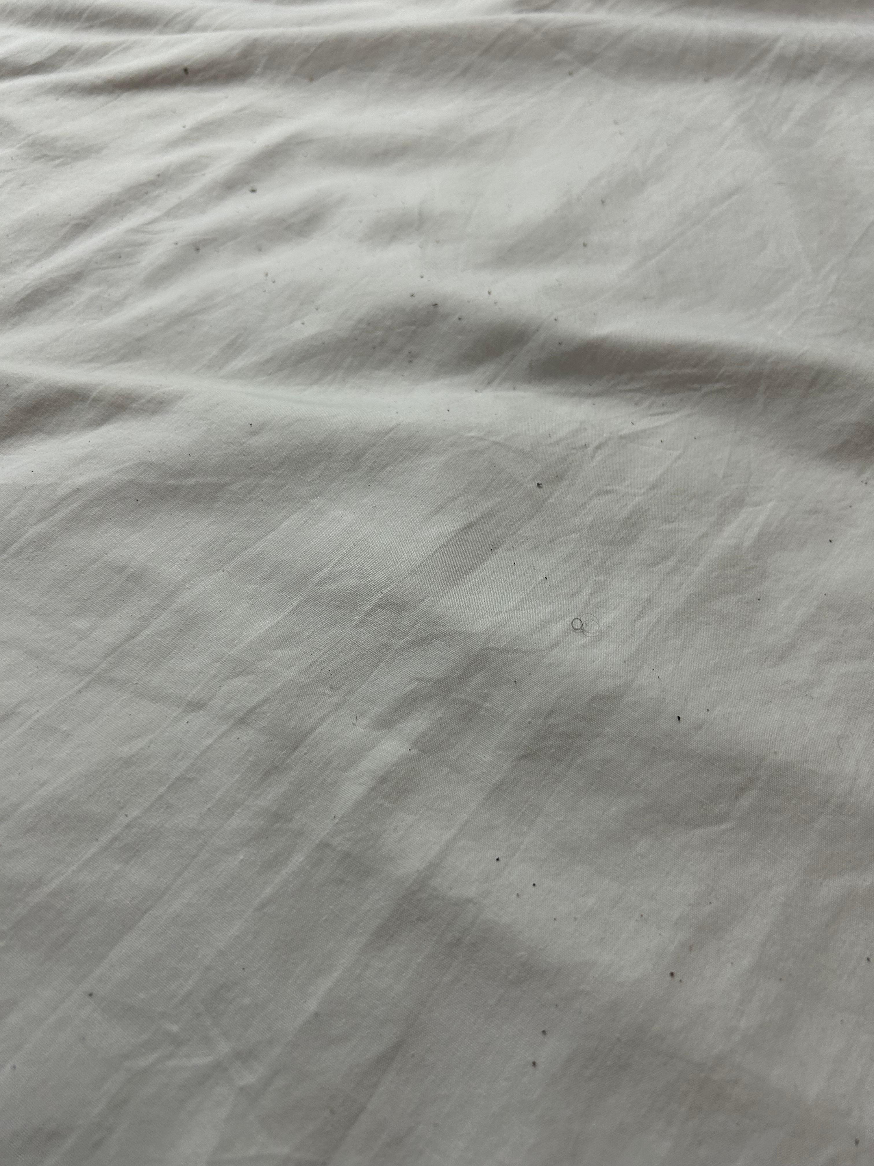 Picture of the second bed sadly was too upset to take photo of the first 