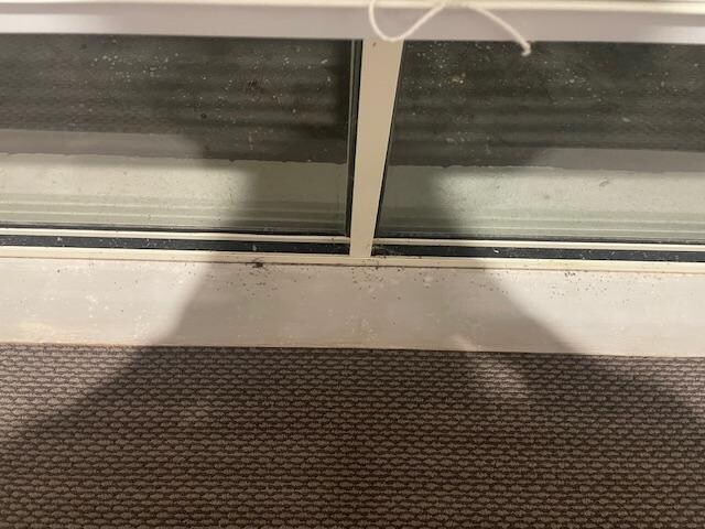 a quick vacuum would have cleaned up most 