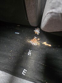 This is under the main living room couch