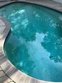 Pool was not inviting, we did try to clean.