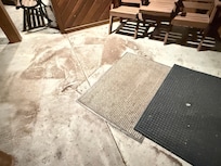 Dirty Sidewalk and rugs!