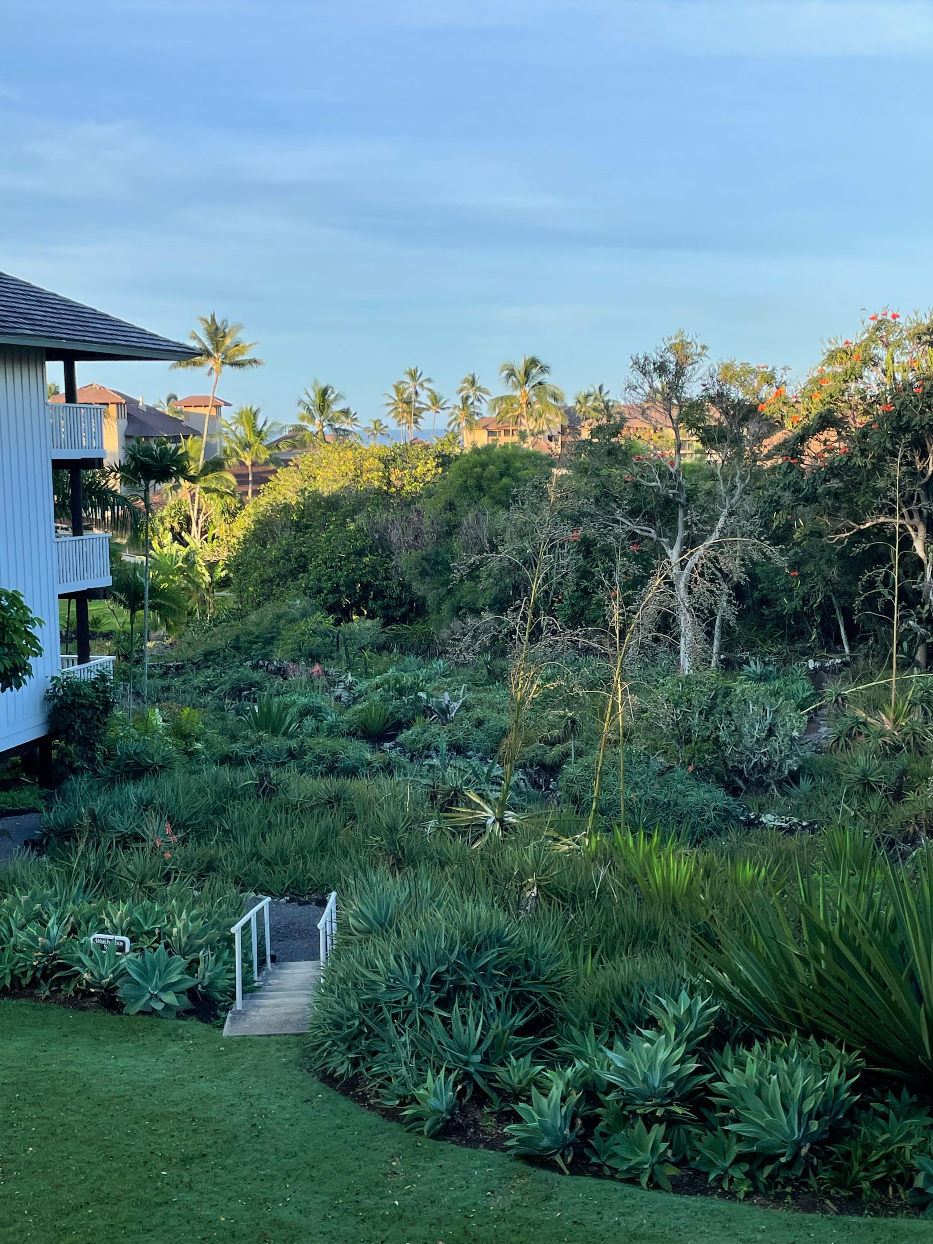 View from room 330